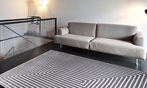 Light Gray Soft Area Rug Carpet Large New