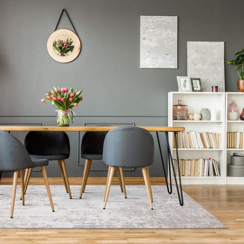 Florance Collection Modern Area Rug