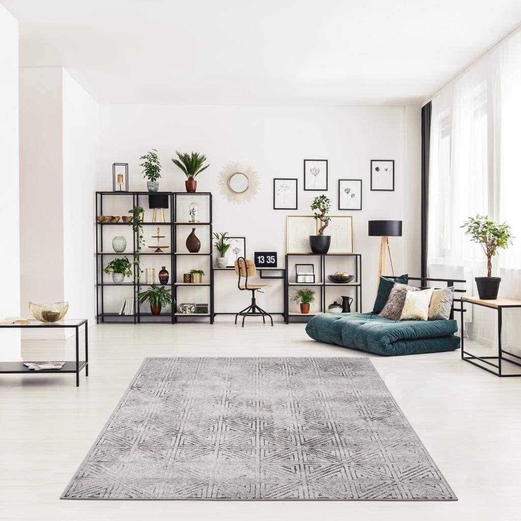 Florance Collection Vizon Modern Geometric Soft Area Rug