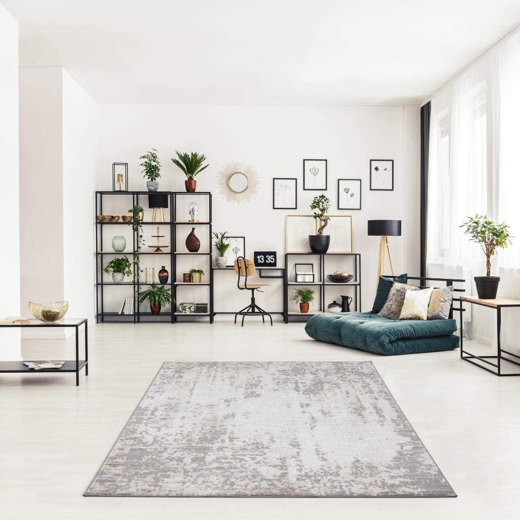 Florance Collection Modern Area Rug