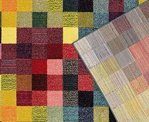 Checkered Multi Colored Area Rug