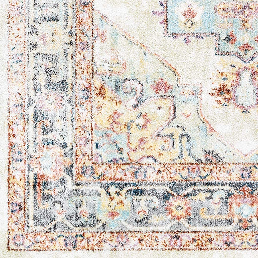 Medallion Ivory Multi Rustic Traditional Area Rug