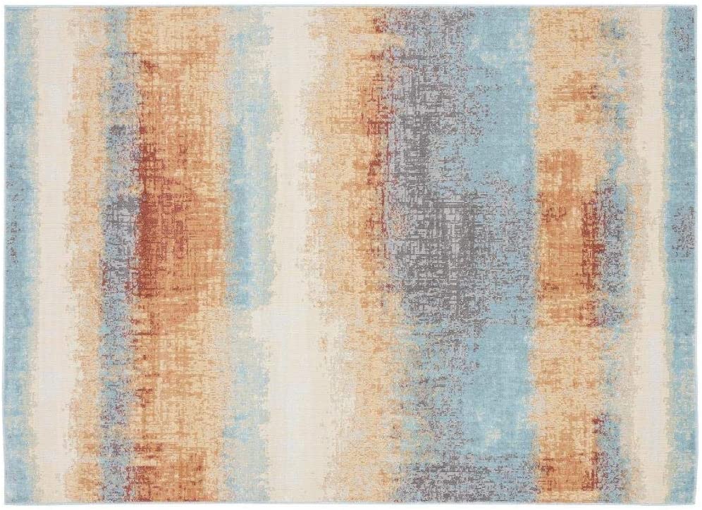 Aquabury Rustic Distressed Multi Indoor/Outdoor Area Rug