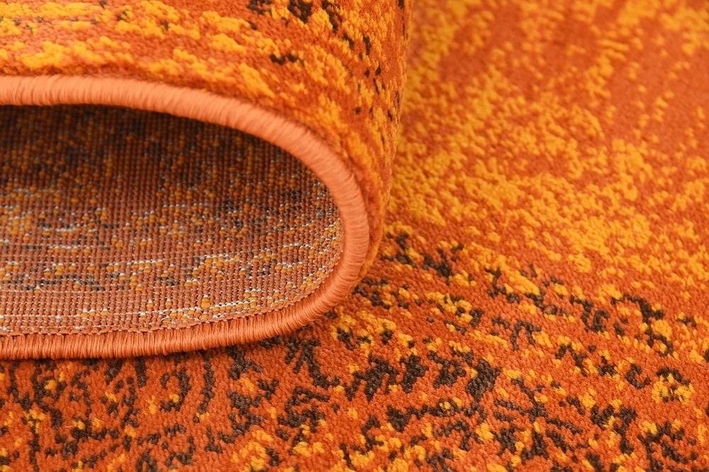 Modern Traditional Vintage Distressed Terracotta Soft Area Rug