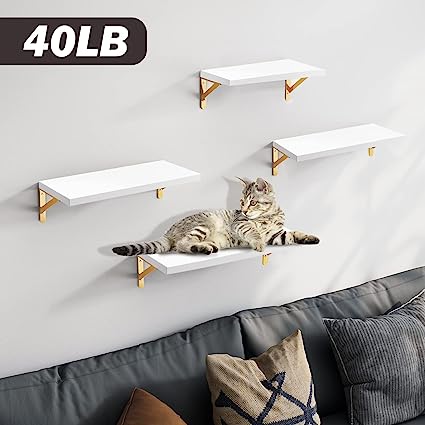 4 Sets of Wall Mounted Shelf for Bathroom Decor, Bedroom, Living Room and Plants (Carbonized Black)
