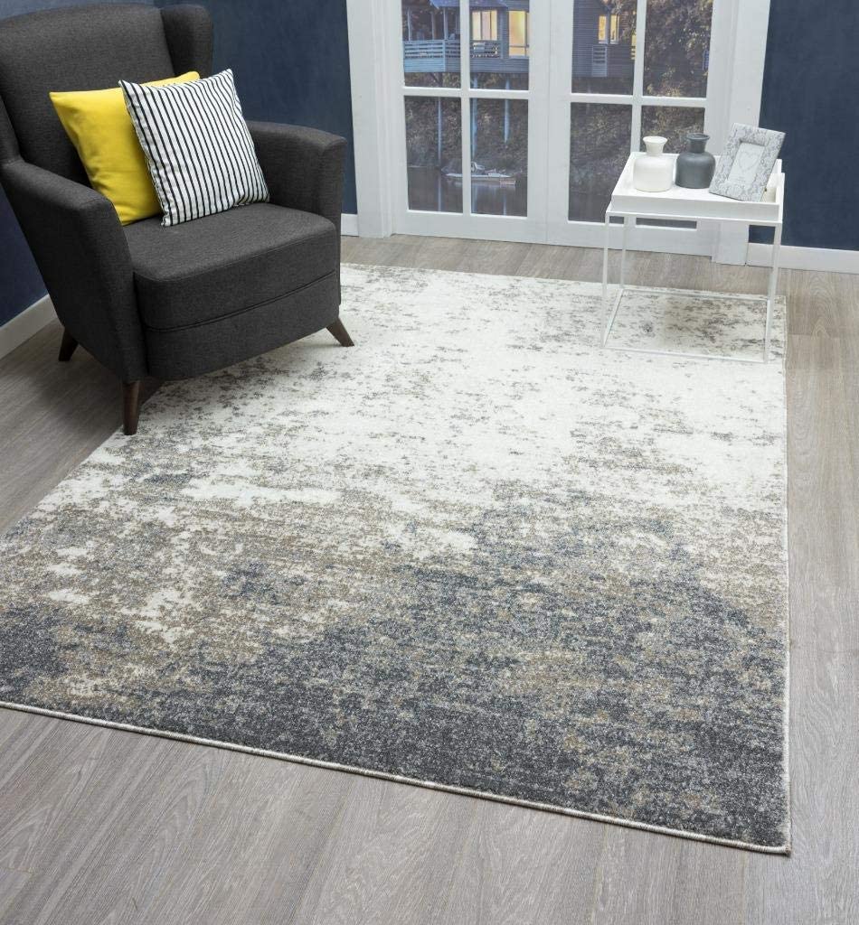 Euston Grey 8 x 10 Abstract Modern Soft Area Rug