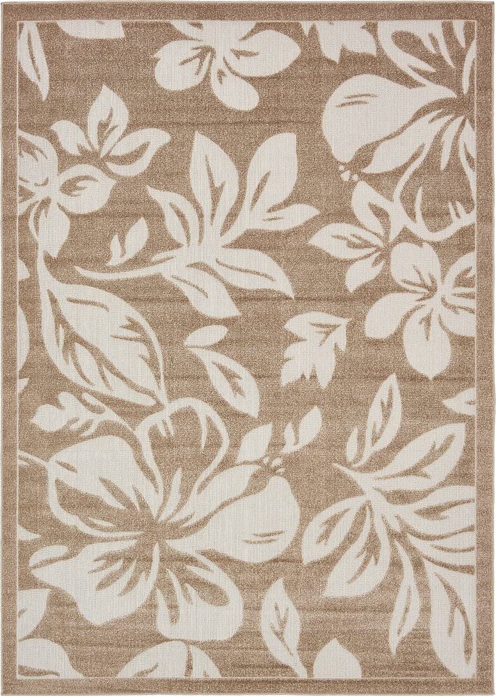 Carved Floral Transitional Indoor and Outdoor Flat weave Beige Area Rug