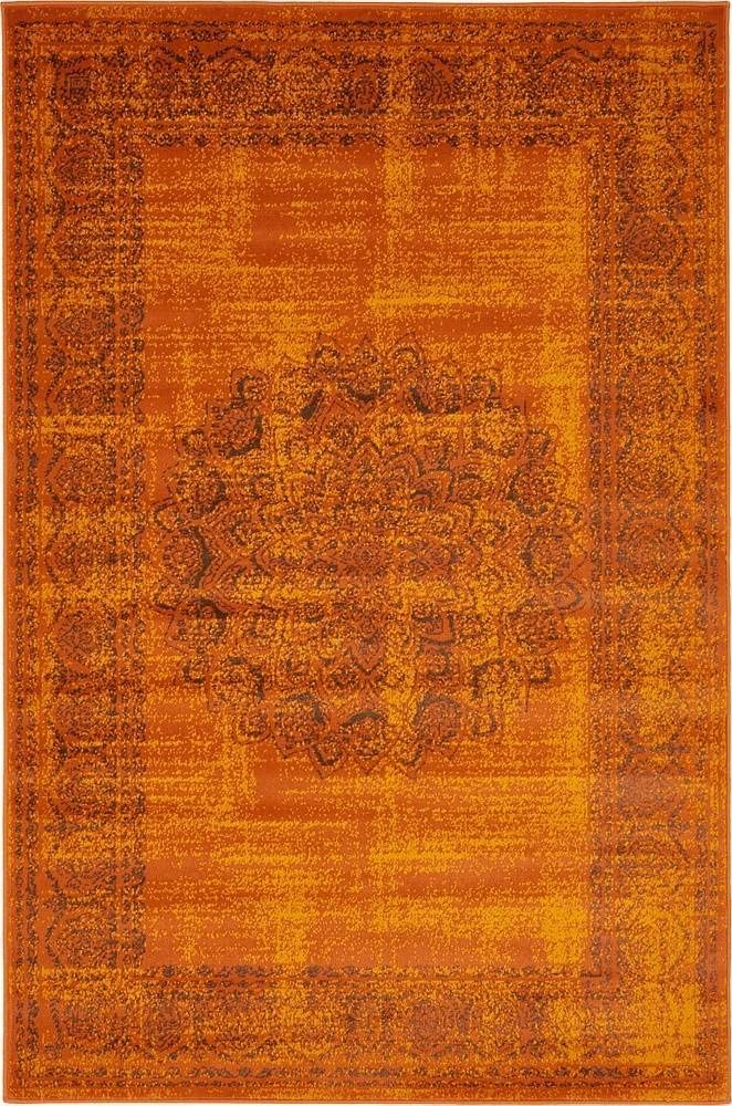 Modern Traditional Vintage Distressed Terracotta Soft Area Rug