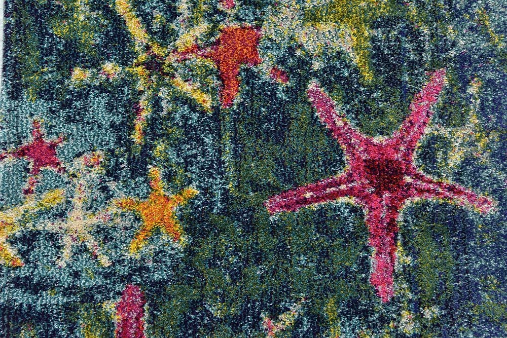 Coastal Modern Bright Colors Starfish Soft Area Rug, Navy Blue/Teal