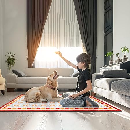 2 PCS Vintage Water Absorb Microfiber Non Skid Washable Farmhouse Kitchen Mats and Rug Set - 17"x29.5"+17"x47", Beige&Black