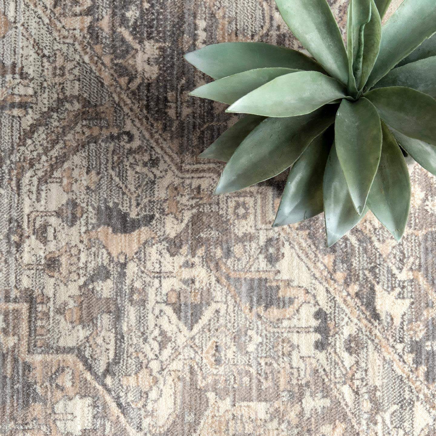 Ethel Medallion Fringe Area Rug, Sliver