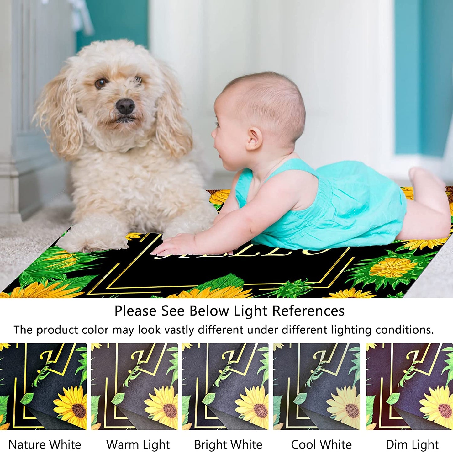 1/10 Inch Ultra Thin Front Door Washable Mat