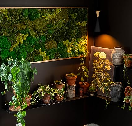 12 Inch Linear Floating Shelf - USA Manufactured Steel - Industrial Heavy Duty Metal Wall Mounted Modern Farmhouse Designed Shelf Ledge (12-in X 8-in Powder Coated Gold)