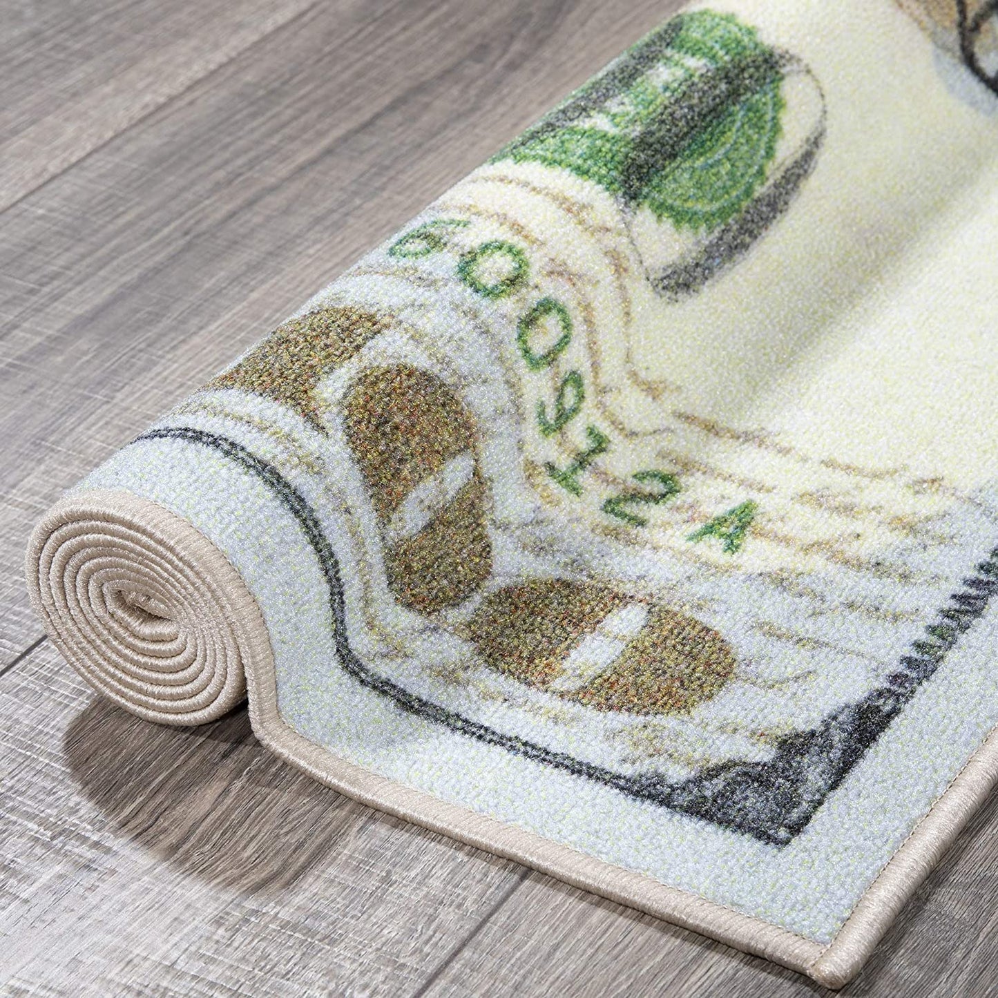 Hundred Dollar Bill Runner Rug, 22" x 53', Multicolor