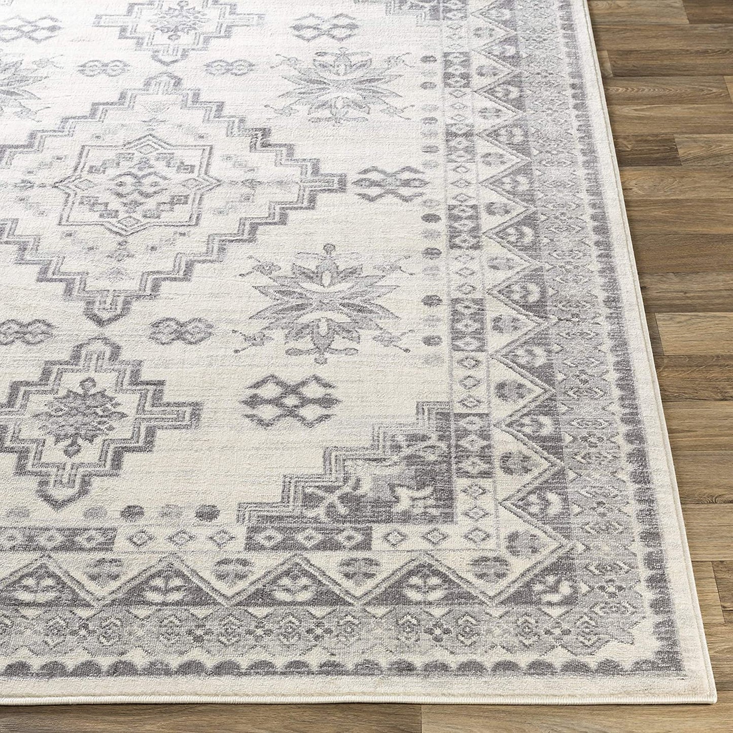 Dagmara Soft Area Rug Light Gray