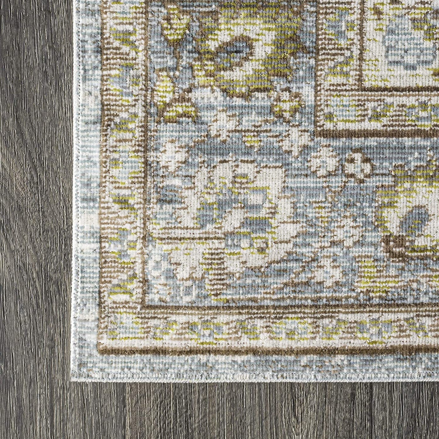 Goa Floral Medallion Traditional Light Blue/Ivory Soft Area Rug