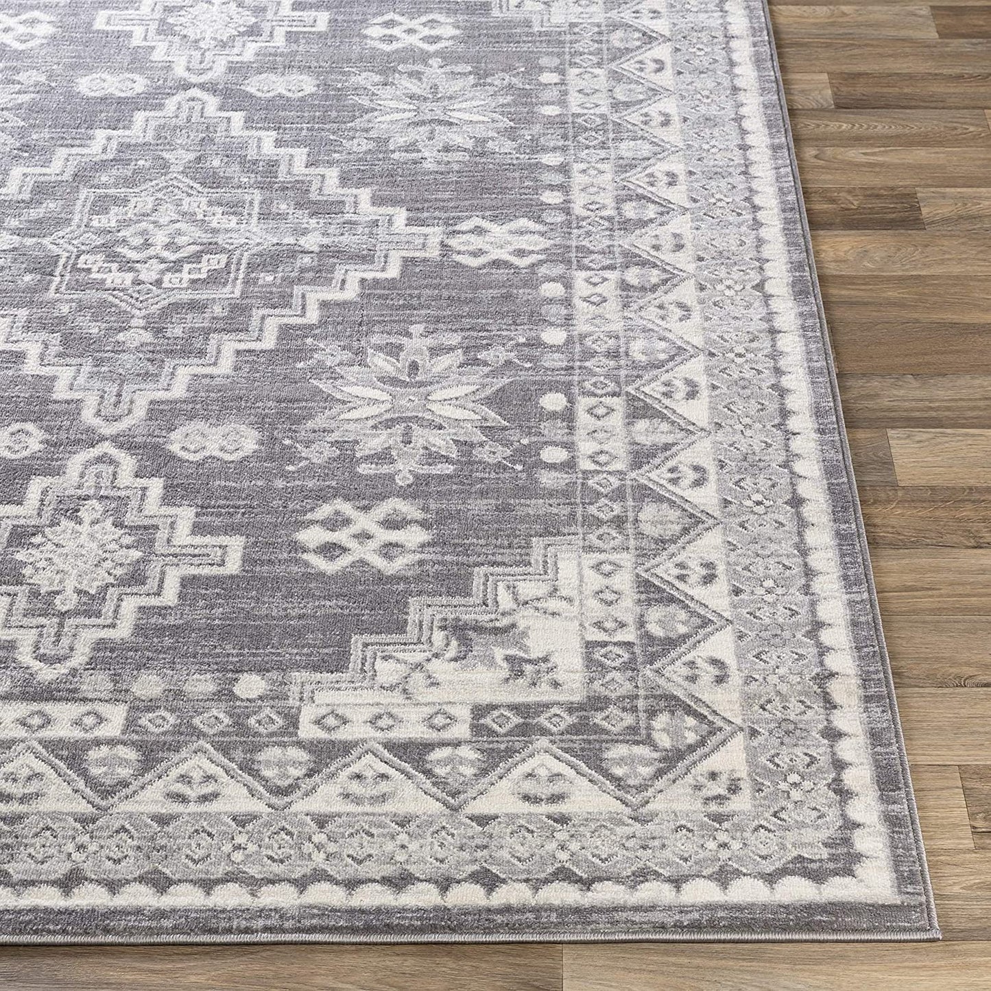 Dagmara Soft Area Rug Medium Gray