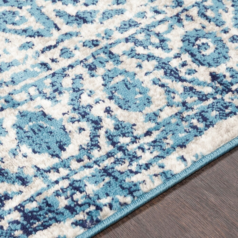 Distressed Persian Pattern Sky Blue Light Gray Soft Area Rug