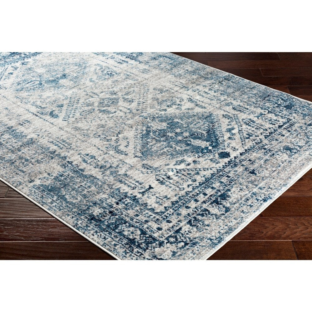 Distressed Persian Pattern Sky Blue Light Gray Soft Area Rug