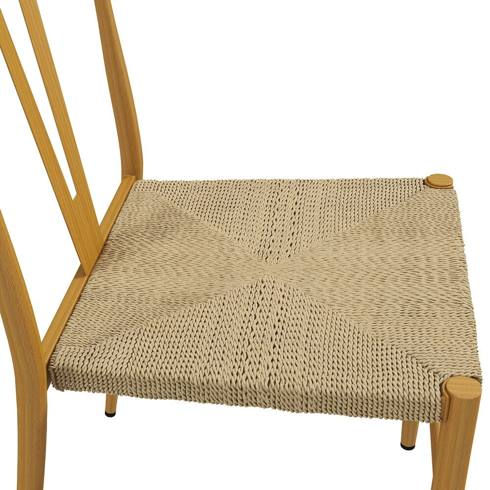 Lyncestius Metal Frame Dining Weave Chair with Metal Legs Set of 2