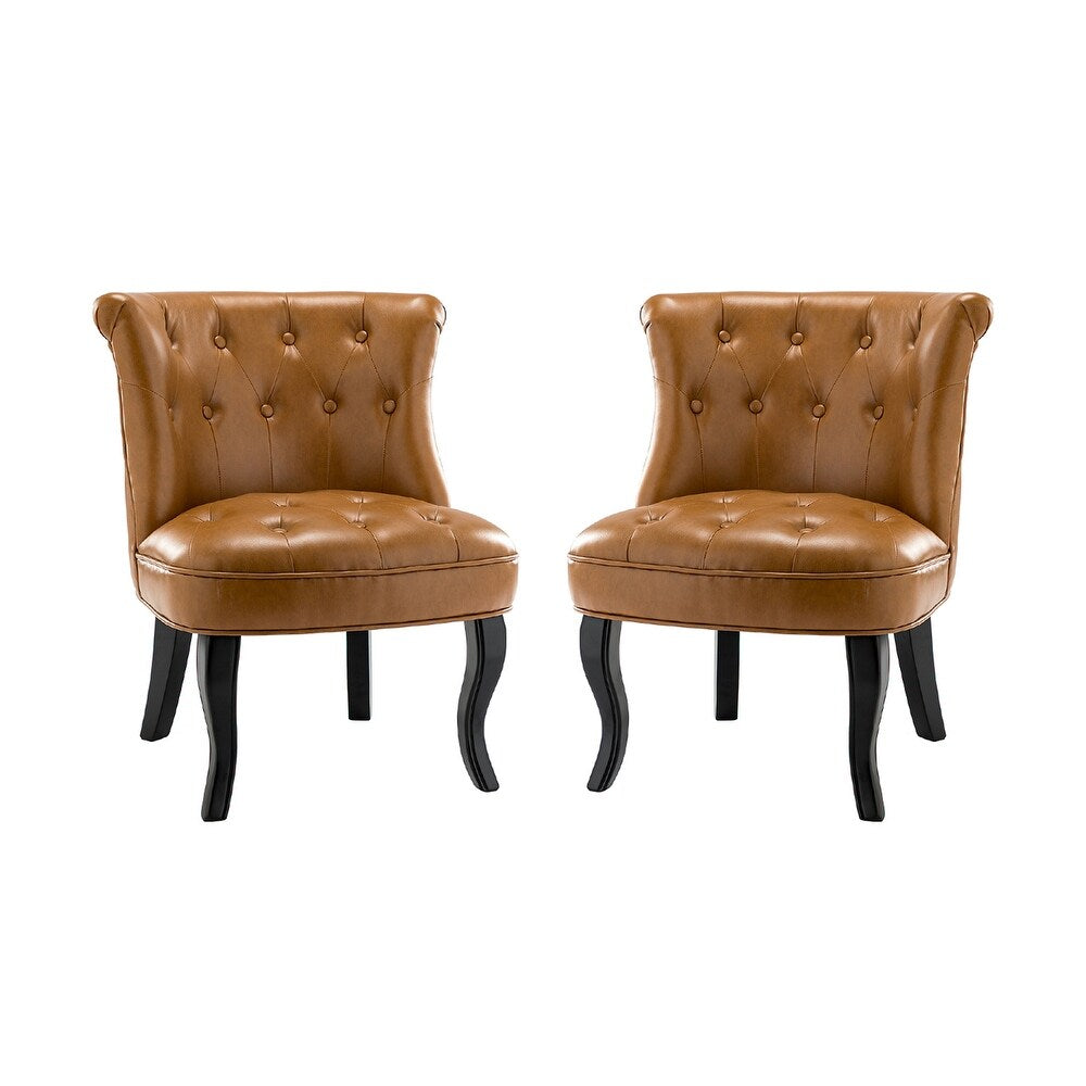 Metion Living Room Accent Chair Set of 2 with Cabriole Legs