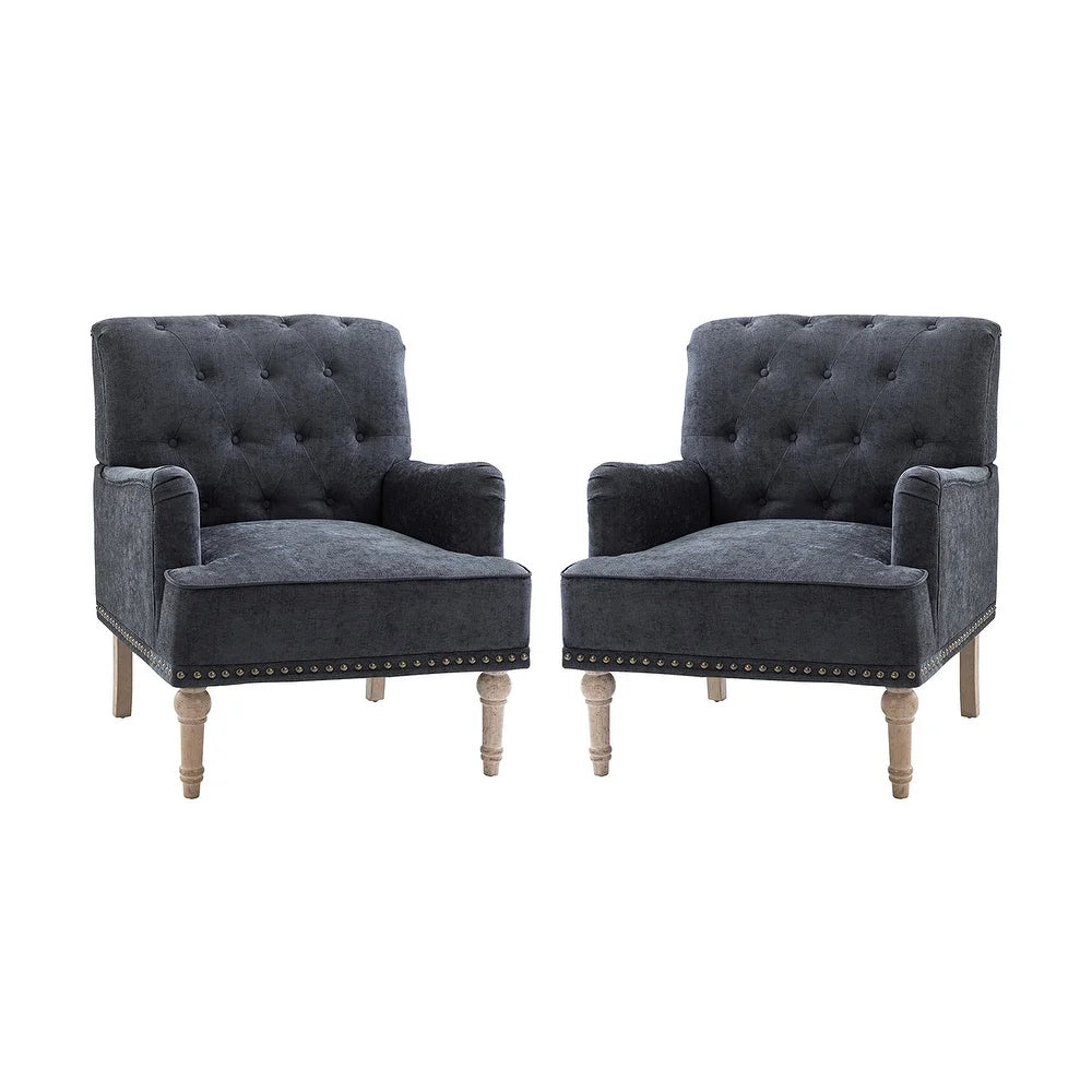 Geltrude Traditional Upholstered Accent Chair with Button Tufted Back Set of 2