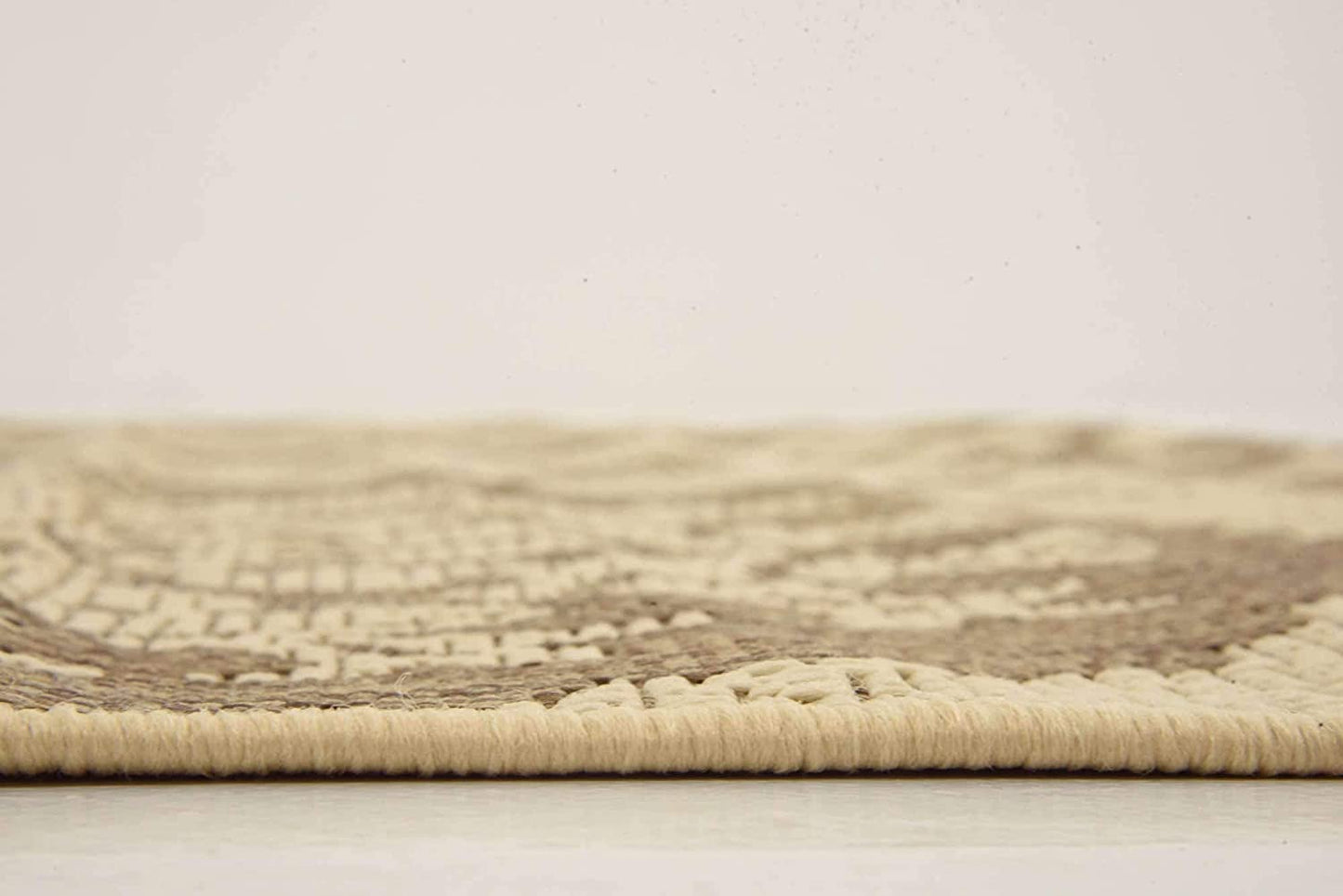 Indoor/Outdoor Botanical Collection Floral Abstract Transitional Flatweave Beige /Brown Area Rug