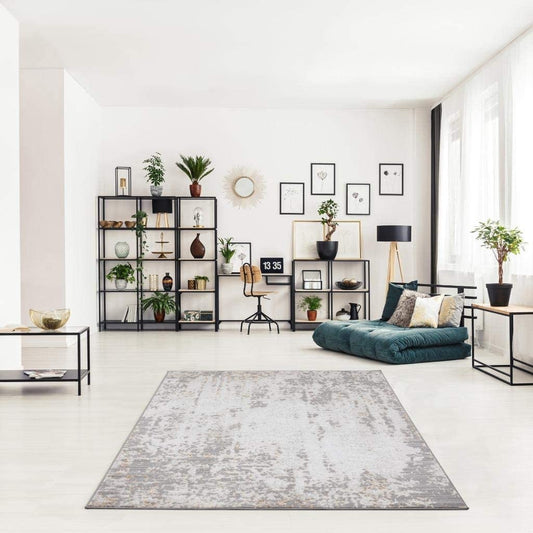Florance Collection Modern Area Rug