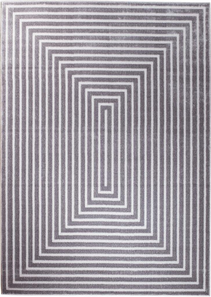 Light Gray Soft Area Rug Carpet Large New