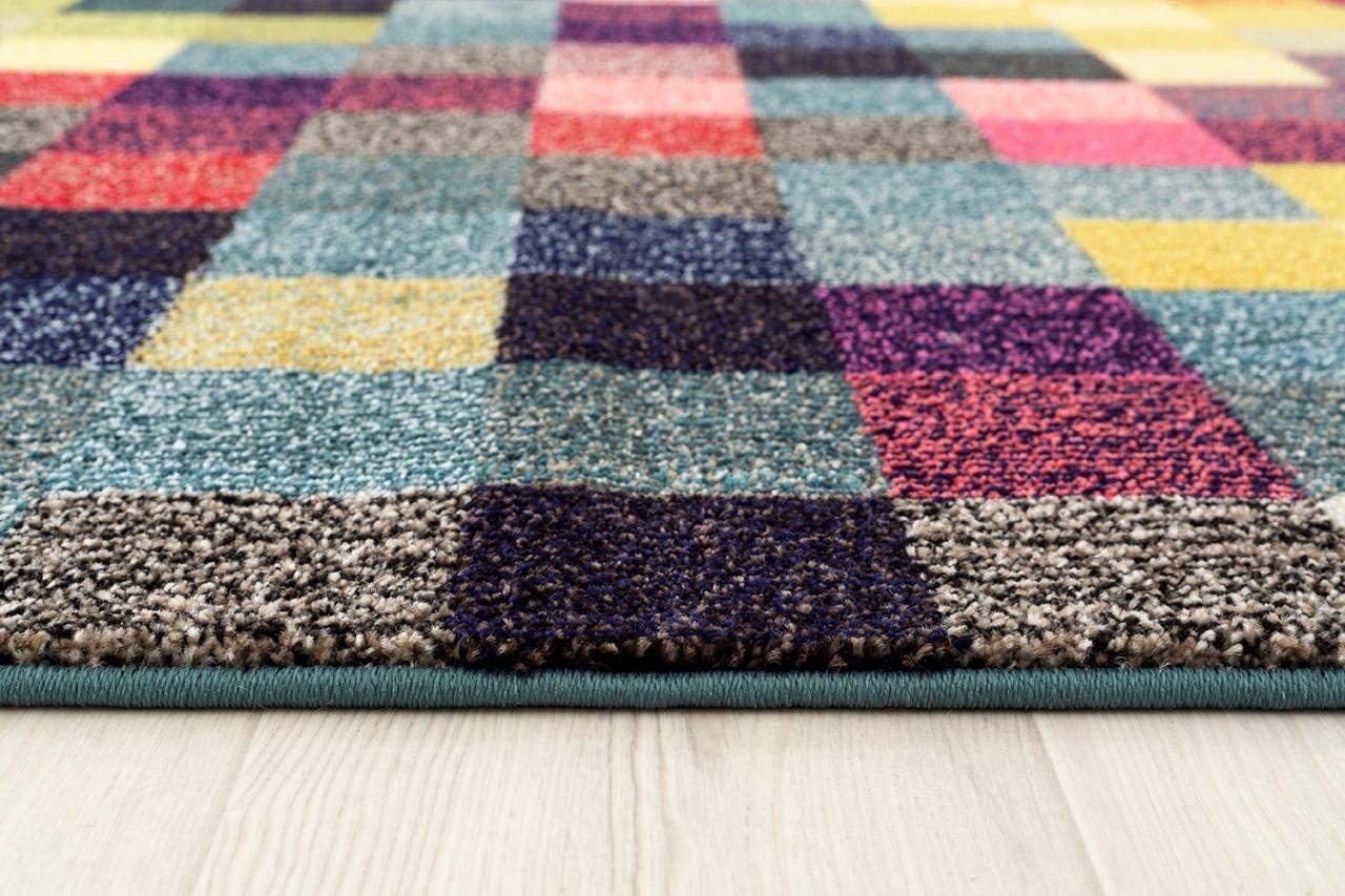 Checkered Multi Colored Area Rug