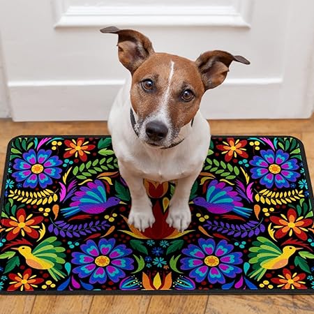 Mexican Embroidery Birds Floor Mat Resist Dirt Entrance Rug, 24'' x 16''