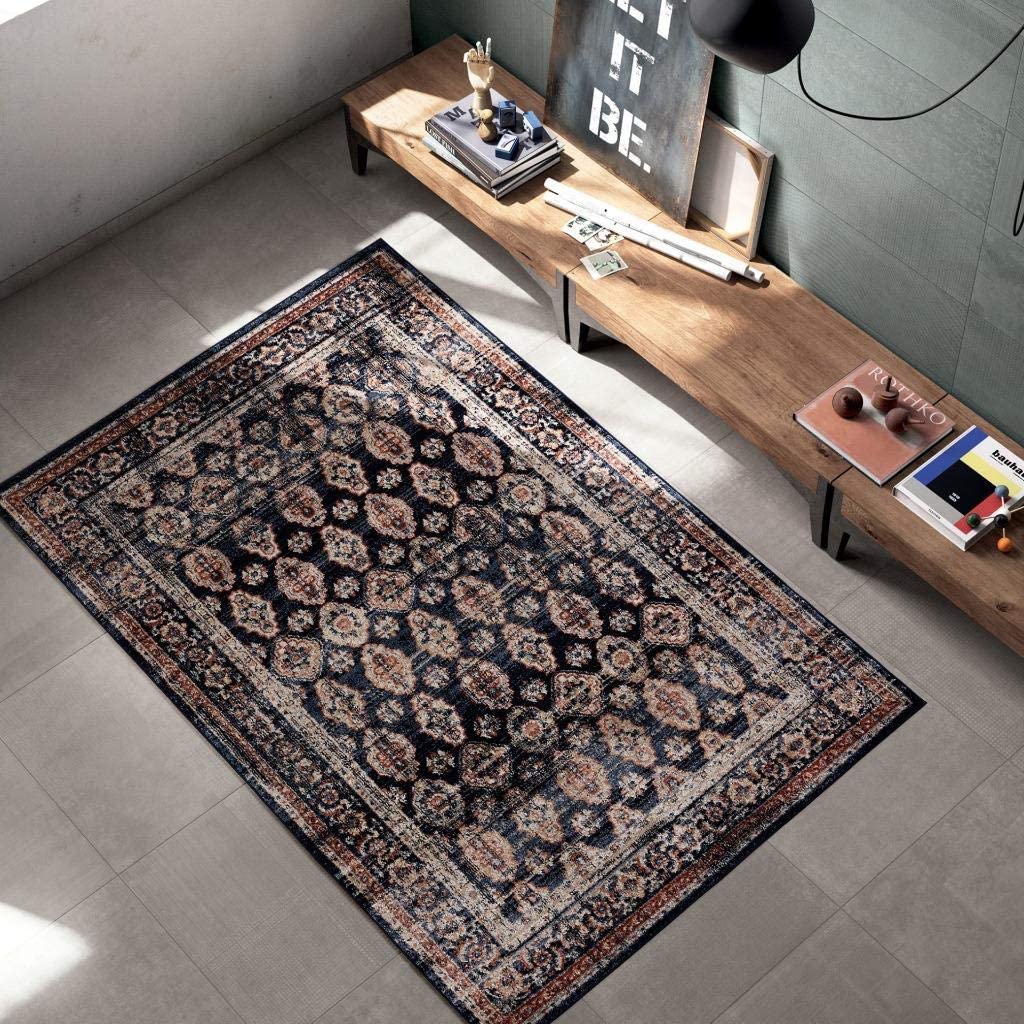 Waterloo Navy Oriental Soft Area Rug