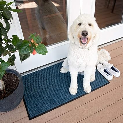 109 Brush Step Entrance Mat, for Home or Office, 3' X 5' Charcoal