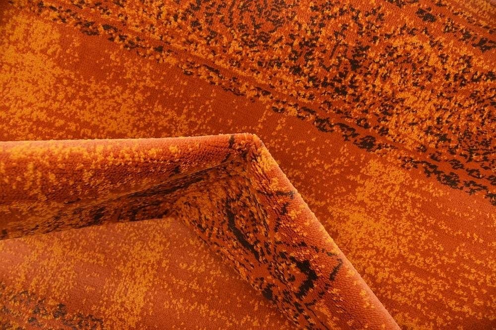 Modern Traditional Vintage Distressed Terracotta Soft Area Rug