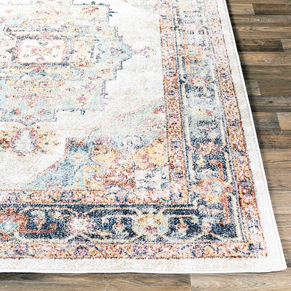 Medallion Ivory Multi Rustic Traditional Area Rug