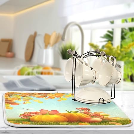 Absorbent Microfiber Protector for Kitchen Countertops 16 X 18 Inch Natural Fresh Fruits Dry Dishes Pads Tableware Mats