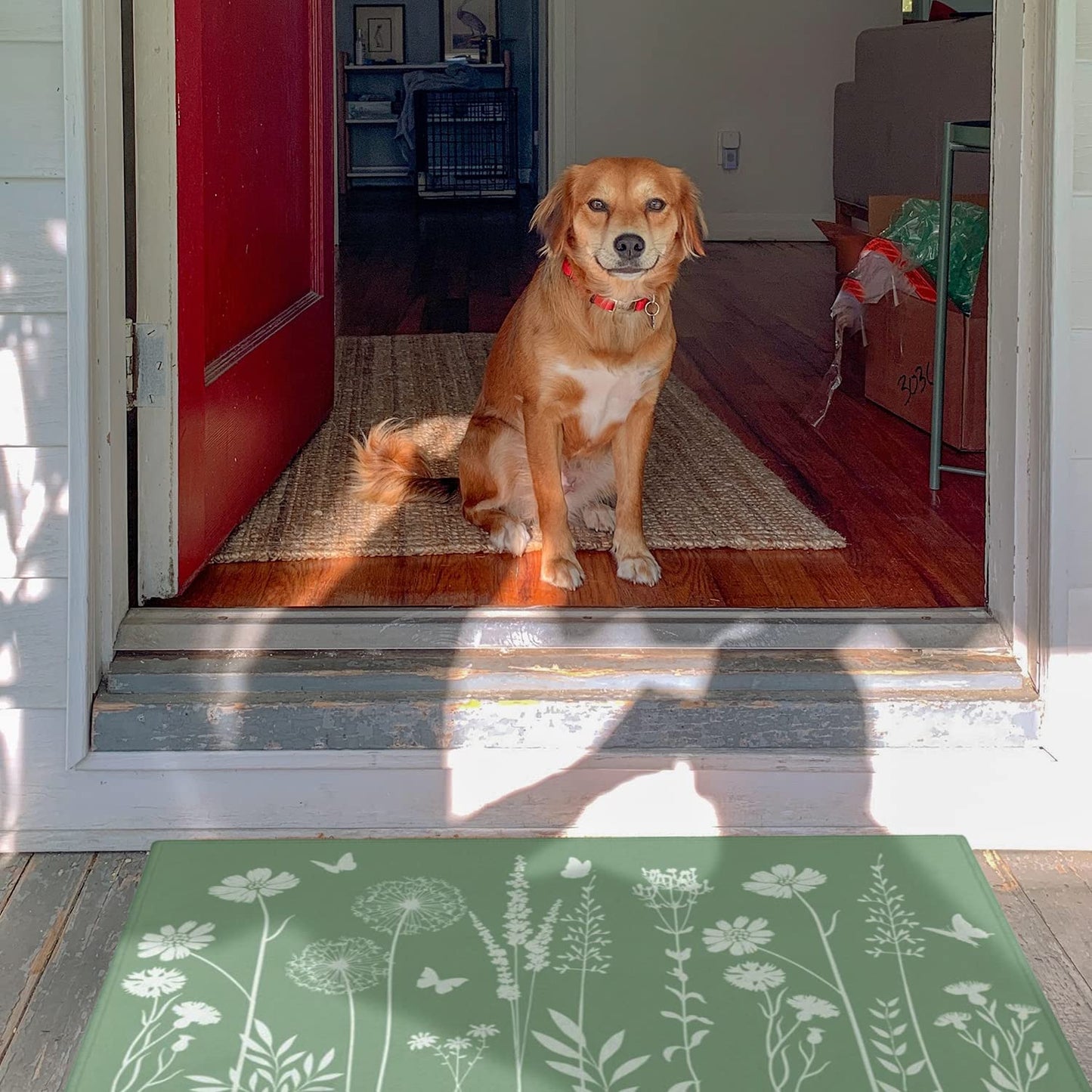 Set of 2- Plant Floral Butterfly Kitchen Rugs with Runner Decor Accessories Things - 17x30 and 17x48 Inch