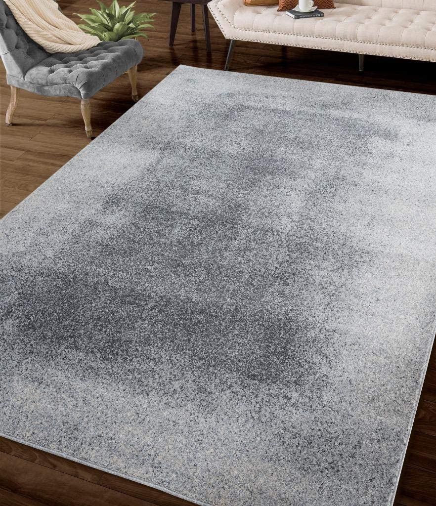 Waterloo Gray Abstract 5x7 Soft Area Rug