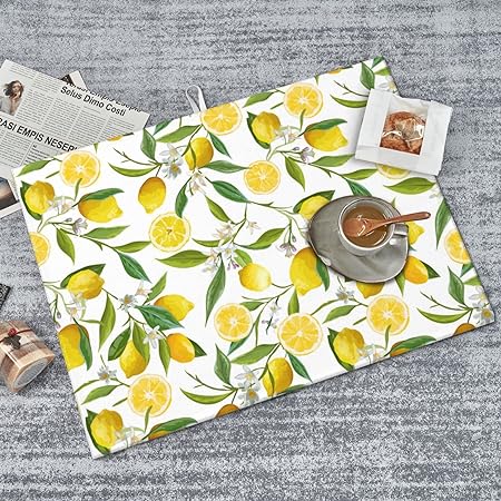 Dish Drying Mat Microfiber for Kitchen Counter Blue and Green Leaves Absorbent Dish Draining Reusable Washable Extra Large 18"x24"