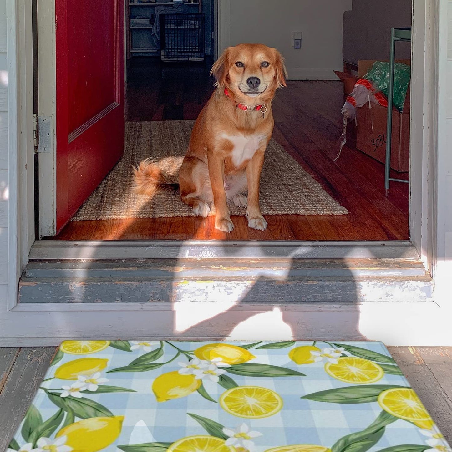 Set of 2- Plant Floral Butterfly Kitchen Rugs with Runner Decor Accessories Things - 17x30 and 17x48 Inch