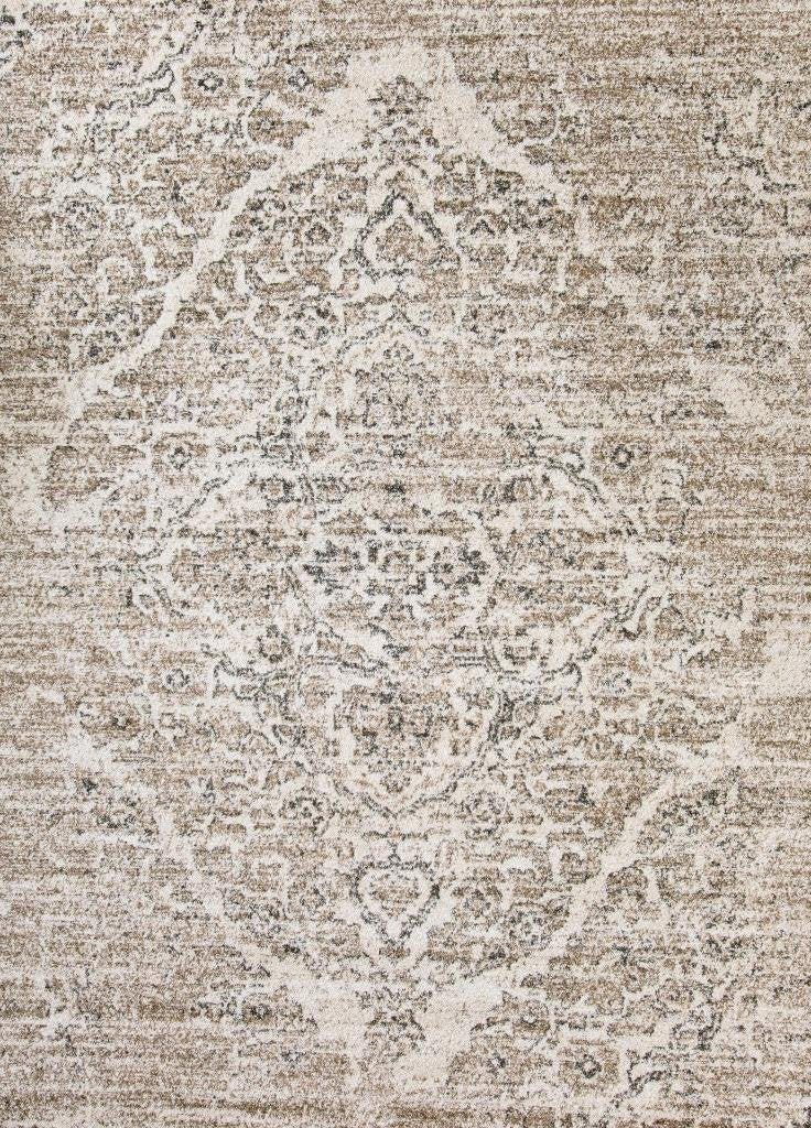Persian Distressed Beige Area Rugs