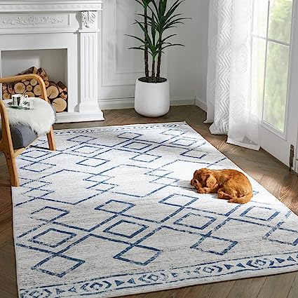 Indoor Mat Geometric Print Floor Cover Thin Carpet Soft Rug