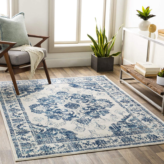 Delney Blue Soft Area Rug