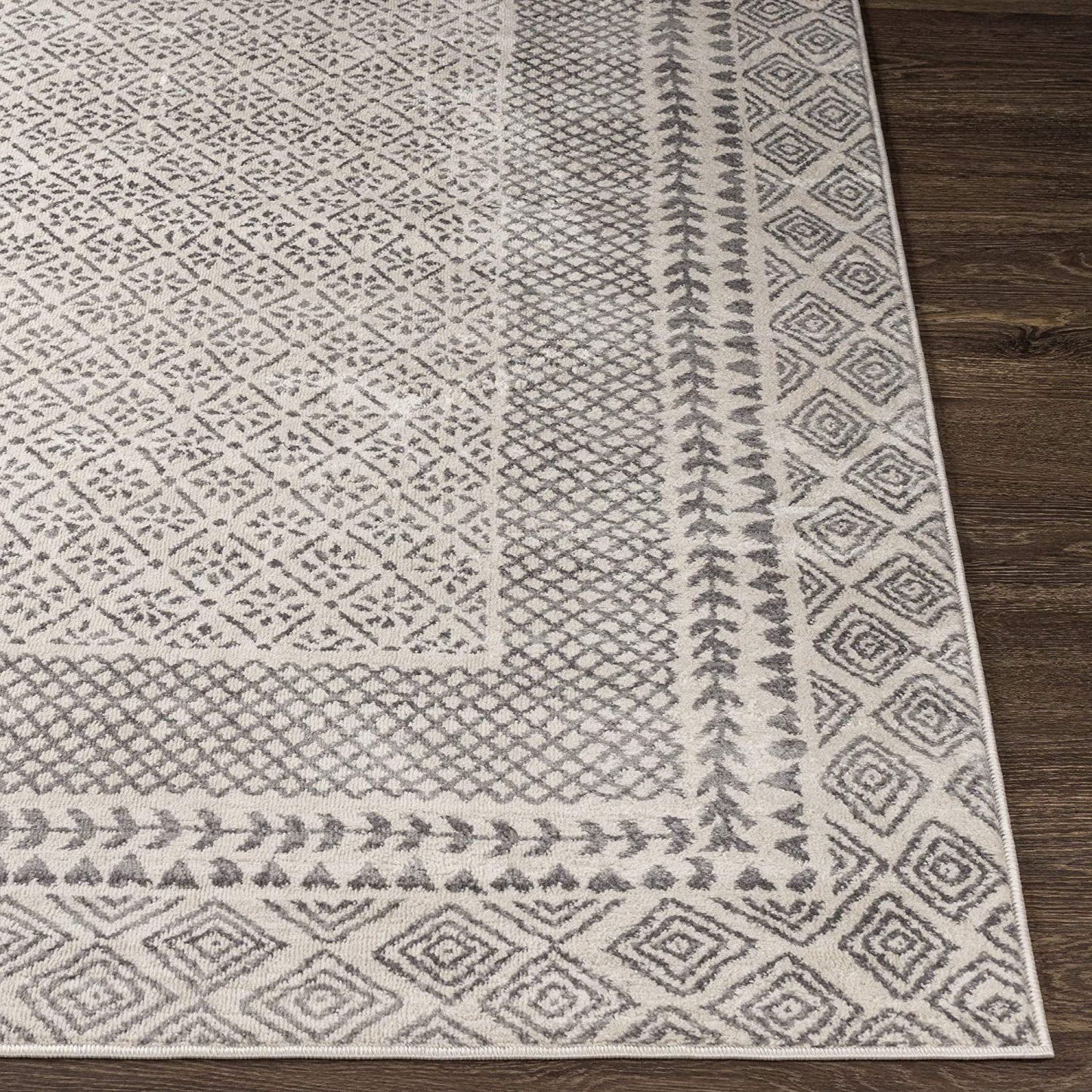 Vanessa Bohemian Border Grey Soft Area Rug