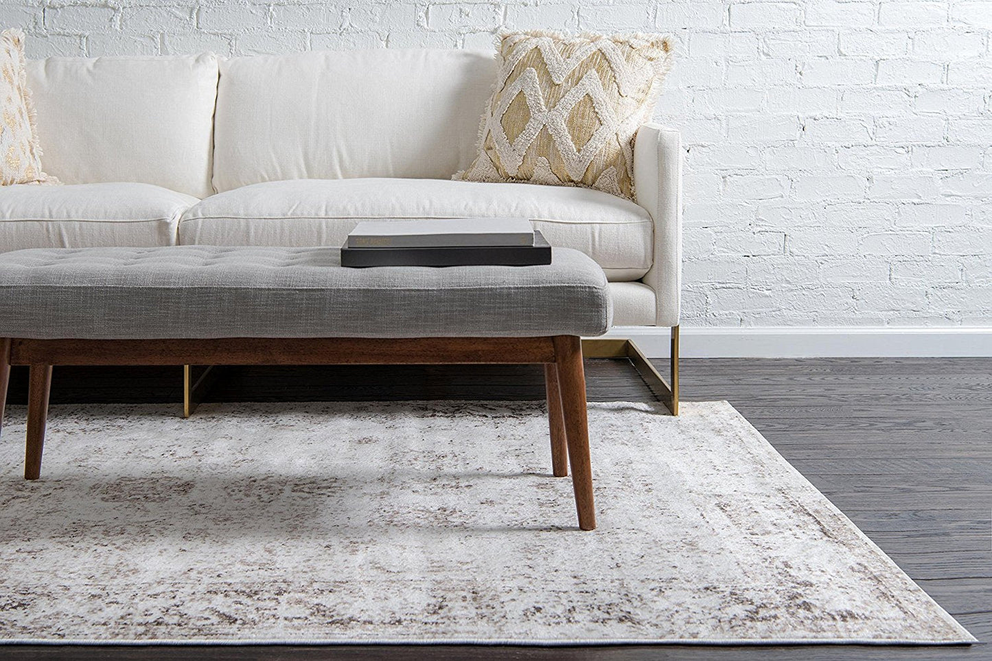 Vintage Distressed Bordered Beige Area Rugs