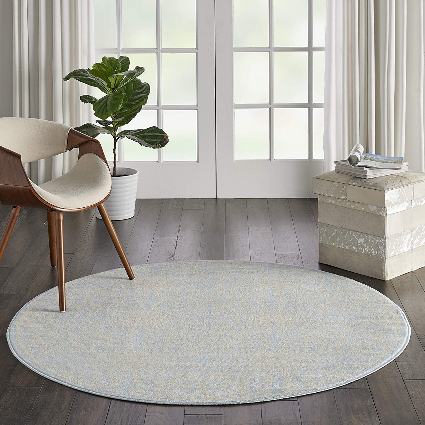 Transitional Floral Ivory/Light Blue Area Rug