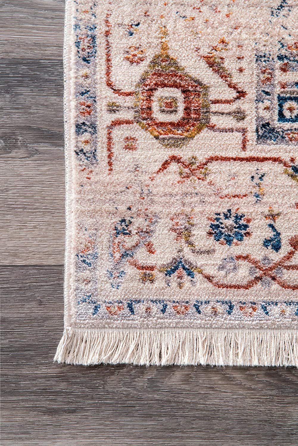 nuLOOM Ethel Medallion Fringe Area Rug lvory