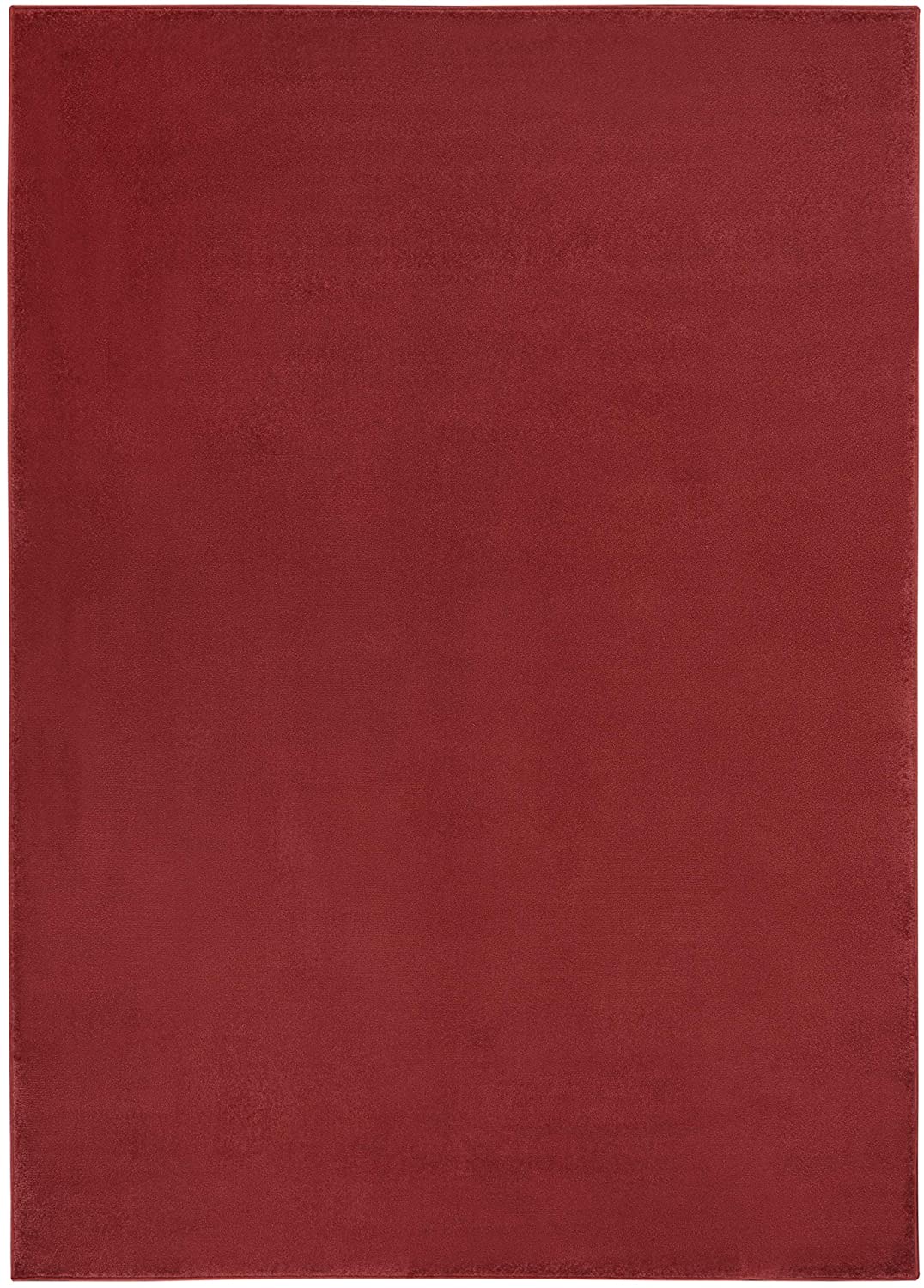 Solid Contemporary Brick Red Indoor/Outdoor Area Rug