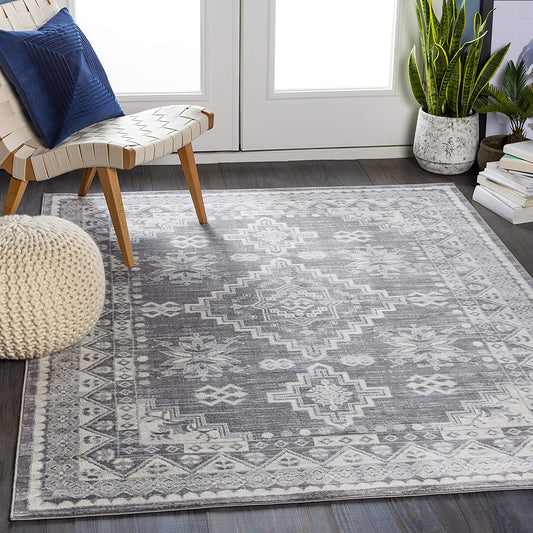 Dagmara Soft Area Rug Medium Gray