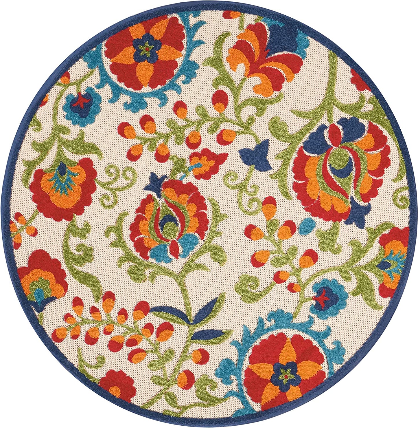 Multicolor Indoor/Outdoor Area Rug